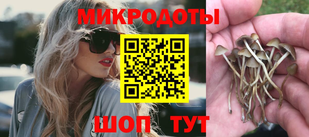 Псилоцибиновые грибы прущие грибы Воткинск