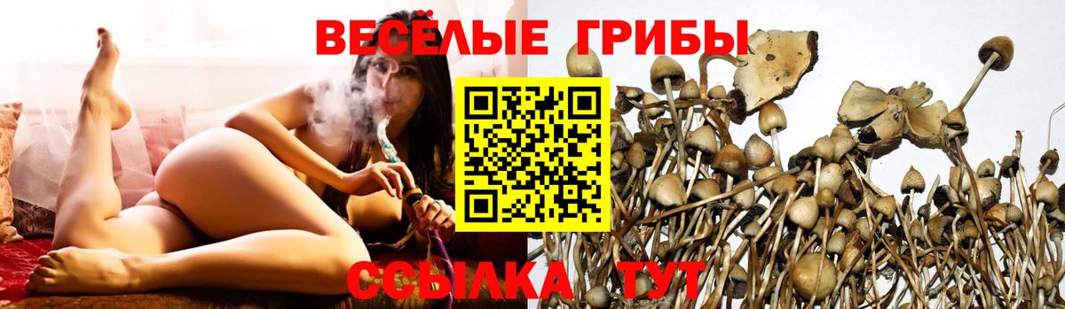 Воткинск  что такое наркотик  Галлюциногенные грибы ЛСД  Вход с VPN  Псилоцибиновые грибы Psilocybe 
